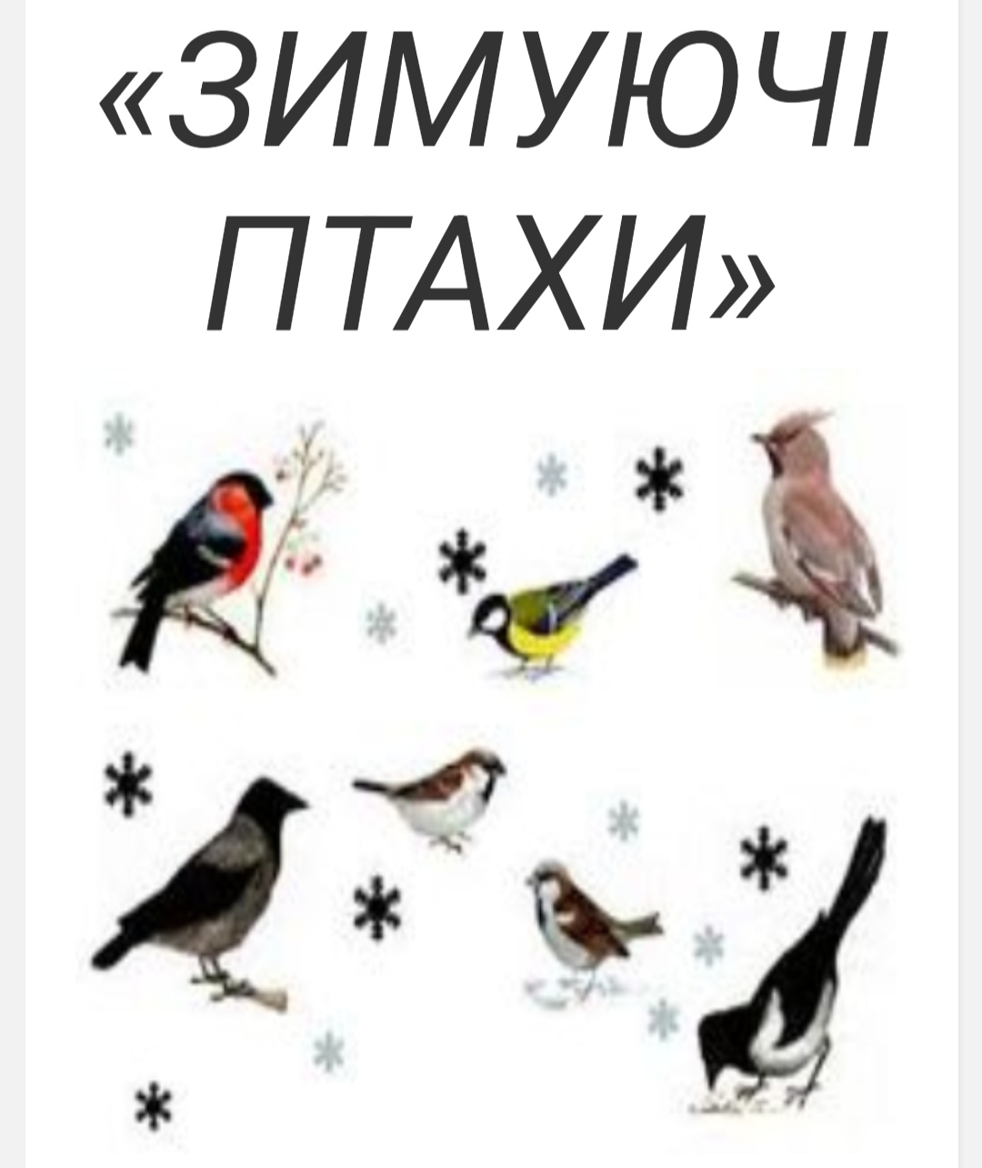 Тема тижня : “Зимуючі птахи” , виконані роботи різновіковими  групами